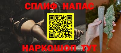 сатива Камышлов