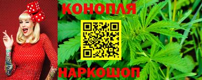 сатива Камышлов