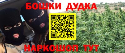 сатива Камышлов