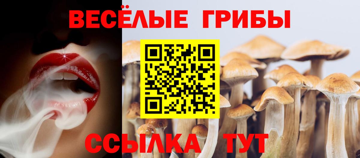 Галлюциногенные грибы MAGIC MUSHROOMS  Вход с VPN  Кушва 
